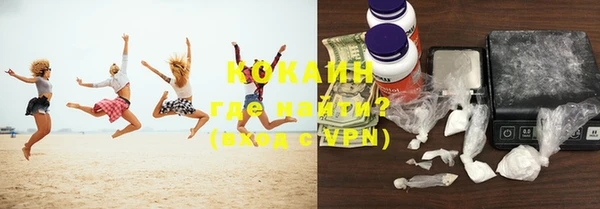 индика Володарск