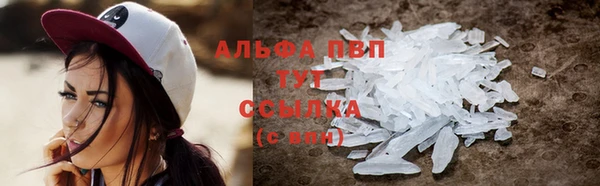 индика Володарск