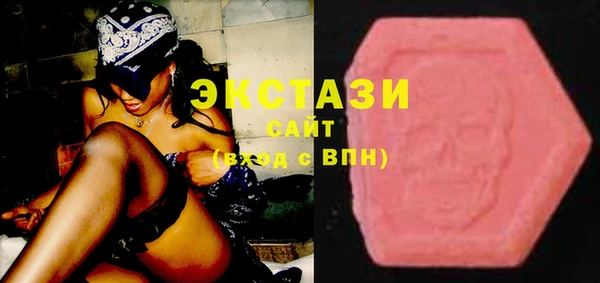 индика Володарск