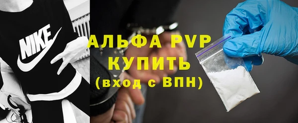индика Володарск