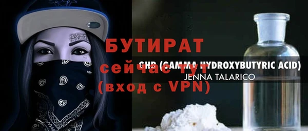 индика Володарск