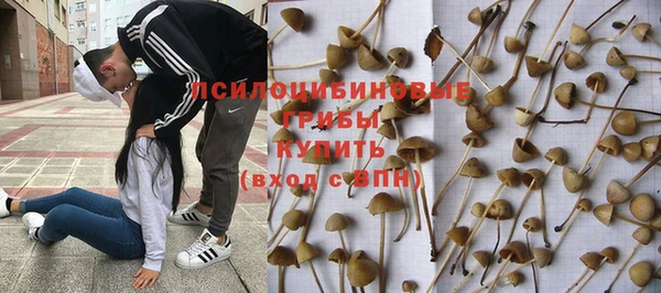 МДПВ Волоколамск