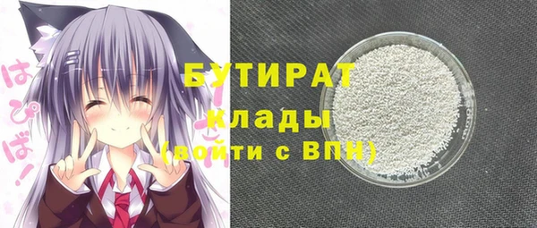 индика Володарск