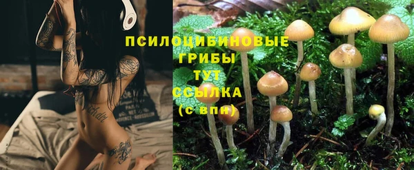 гидра Волосово