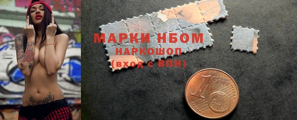 индика Володарск
