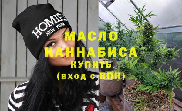 индика Володарск