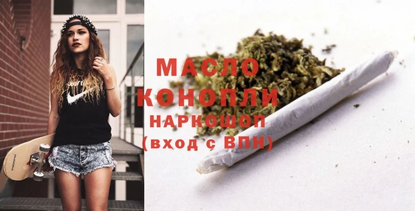индика Володарск