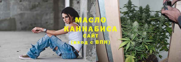 индика Володарск