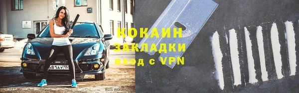 индика Володарск
