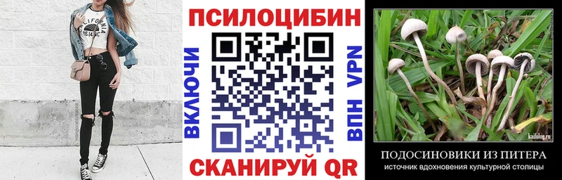 Купить закладки Вытегра Псилоцибиновые грибы GOLDEN TEACHER